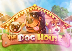 The Dog House 